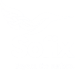 Sofix AI